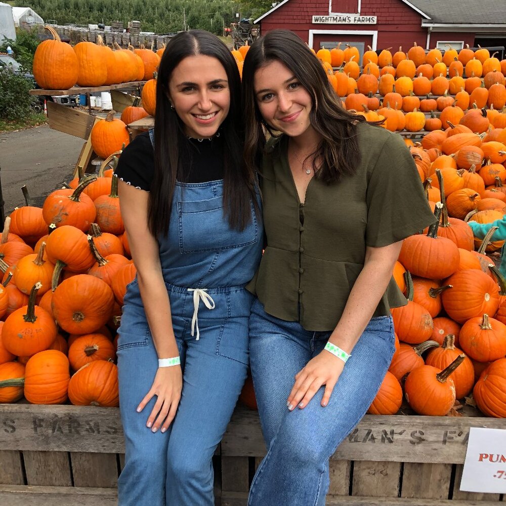 Denim Blue Aritzia Jumpsuit Overalls